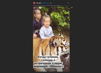 "Мозга нет": фанаты осудили Бородину за фото дочек с тигром