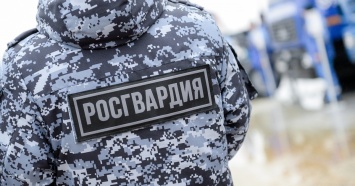 Песков прокомментировал дело убитого бойцами СОБРа из-за обоев екатеринбуржца