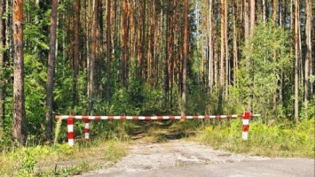 Запрет на посещение крымских лесов продлен до 23 июня