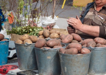 Часть овощей резко подорожала на фоне пандемии в Кузбассе