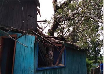 В Ивановском районе тополь упал на жилой дом