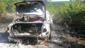 Лесной пожар произошел в Крыму из-за загоревшегося автомобиля, - ФОТО
