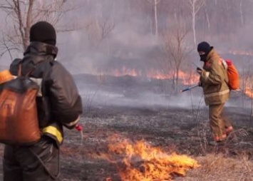 За весну в Приамурье произошло почти полтысячи природных пожаров