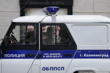 Двое калининградцев во время драки разбили стеклянную остановку на ул. Горького