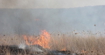 Свердловчан предупредили о высокой пожароопасности в выходные