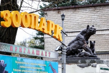 Калининградский зоопарк открывается для посетителей 17 июня