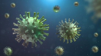 Найденный в Пекине коронавирус оказался старше европейских штаммов
