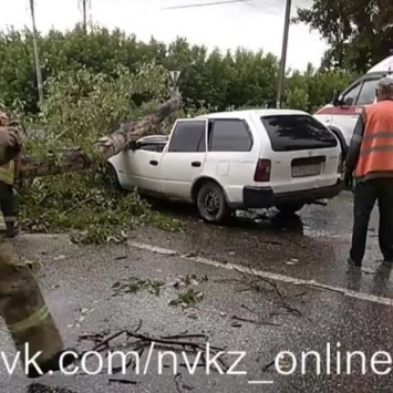 Дерево упало на проезжающий автомобиль в Новокузнецке