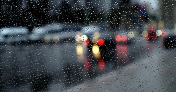 Готовим зонты: следующая неделя в Нижнем Тагиле будет дождливой и прохладной