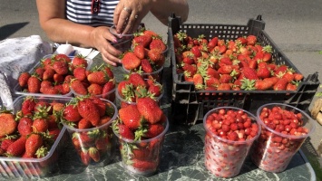 В Барнауле цены на ягоды бьют все рекорды