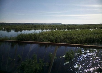 На севере Амурской области поднимается уровень воды в реках