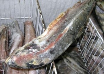 Четыре фирмы «отмывали» нелегальную рыбу в Благовещенске