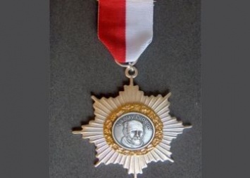 Девять амурских медиков удостоены Ордена Пирогова