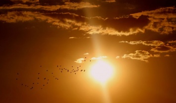 Синоптик предупредил о повышенном уровне солнечного излучения в России