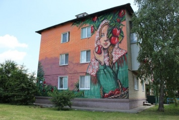 Белгородские дома украсят настенными изображениями