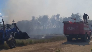 Огнеборцы потушили крупные ландшафтные пожары в Алтайском крае