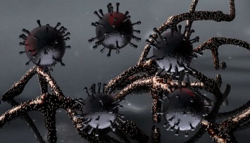 Ученые из США: "зловещие щупальца" ускоряют распространение коронавируса по организму