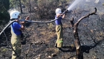 В Ялте потушили крупный пожар у трассы, - ФОТО