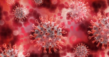 В Свердловской области зарегистрировано еще 209 новых случаев коронавируса