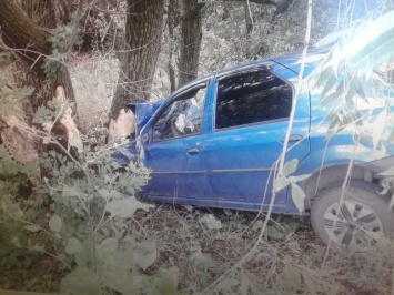 Renault въехал в дерево по пути в Подсосенки