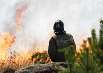 Грозы привели к лесным пожарам в Селемджинском районе