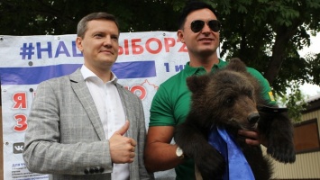 Настоящего медвежонка увидели избиратели на участке в Барнауле