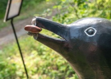Вандалы изуродовали скульптуру пингвина в Свободном