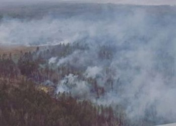 10 природных пожаров тушат на севере Приамурье