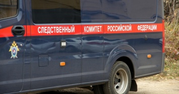 СК Екатеринбурга заинтересовался инцидентом с пьяными взрослыми и ребенком с ножом