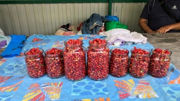 Барнаульцы повысили цены на ягоду