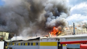 Серьезный пожар охватил алтайский завод: очевидцы