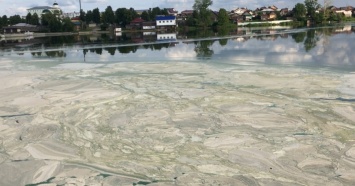 Поверхность Староуткинского пруда заволокло пеной и позеленела вода