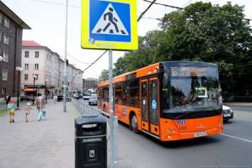 В Калининграде после проверки прокуратуры сняли с линии 27 автобусов