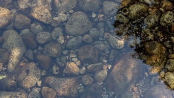 В Рубцовске водолазы нашли утонувших подростков в реке Алей