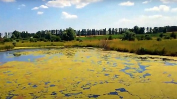 Шебекинский завод премиксов может угрожать реке Нежеголь