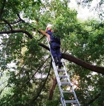 В Старом Осколе пожарные выручили из беды двух детей