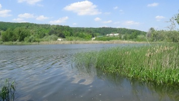 В Белгороде в реке утонул подросток