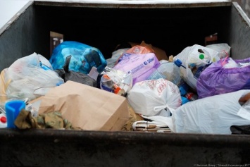 Из-за «таможенной проблемы» часть предприятий региона перестала заниматься переработкой отходов