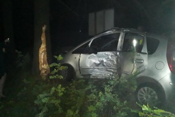 Под Светлым авто вылетело на встречную, затем в лес и врезалась в дерево (фото)