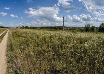 Сельхозпредприятие в Приамурье накажут за заброшенные поля