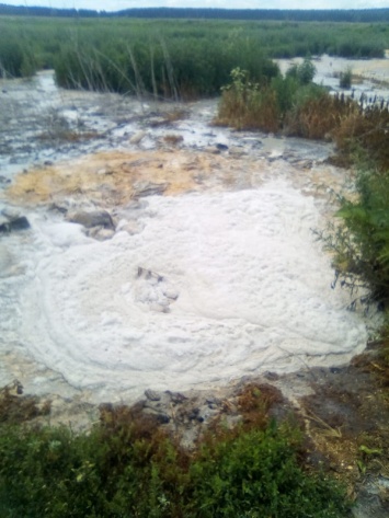 Краевые власти признали загрязнение окружающей среды «пахучим» предприятием «Алтайкорм»