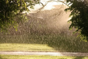 Сегодня в Югре пройдут кратковременные дожди с грозами