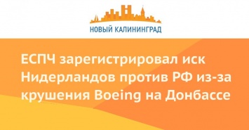 ЕСПЧ зарегистрировал иск Нидерландов против РФ из-за крушения Boeing на Донбассе