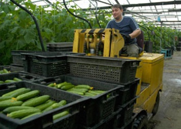 Василий Орлов: «Мы должны на 80% обеспечивать себя овощами»