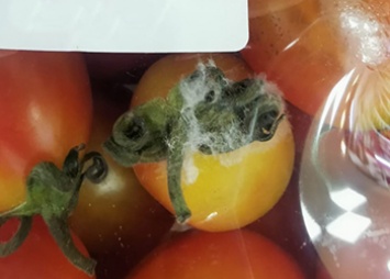 Плесневелые помидоры продавали в супермаркете Благовещенска