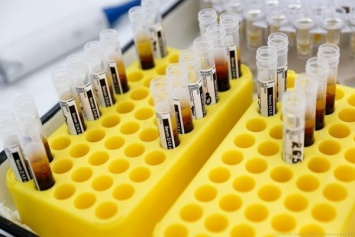 Количество случаев заражения коронавирусом в Польше превысило 40 тысяч