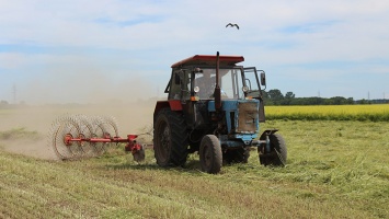 Несмотря на засушливое лето, в Рубцовском районе заготовят достаточно кормов