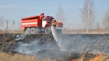 За сутки пожарные потушили в Алтайском крае 31 ландшафтное возгорание