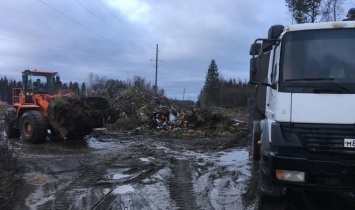 Около пяти тысяч кубометров мусора вывезли со стихийных свалок в Петрозаводске