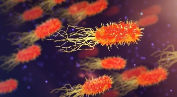 Ученые пришли к выводу, что бактерии быстро мутируют и не реагируют на антибиотики